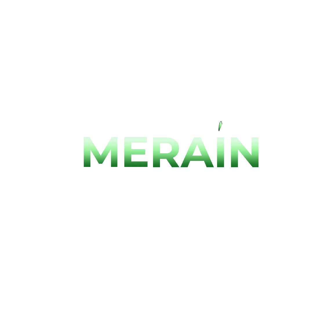 MERAÍN Logo